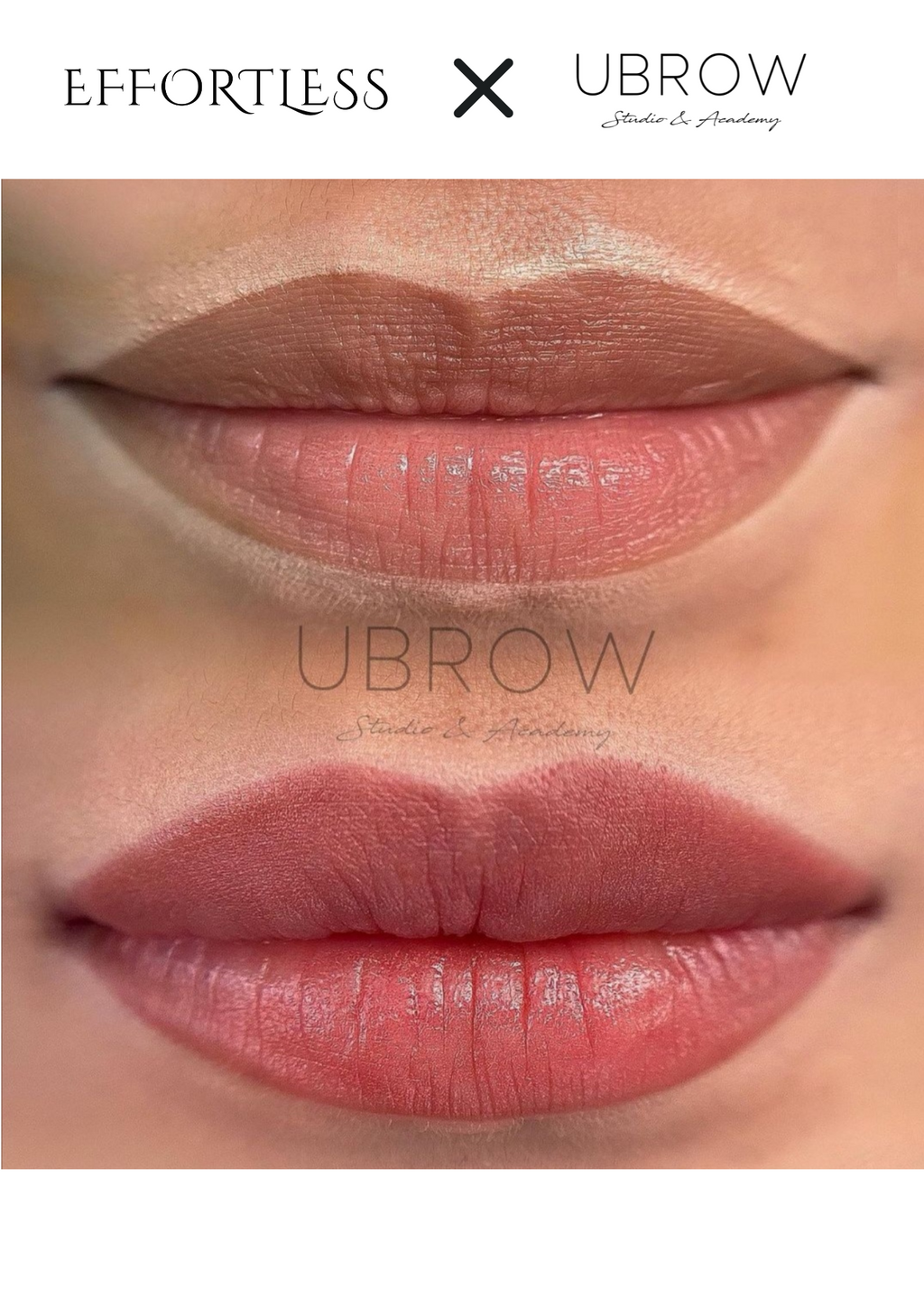 U Brow Watercolour Lip