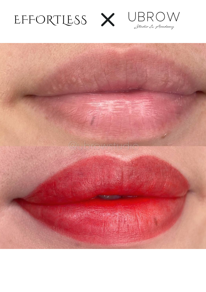 U Brow Watercolour Lip