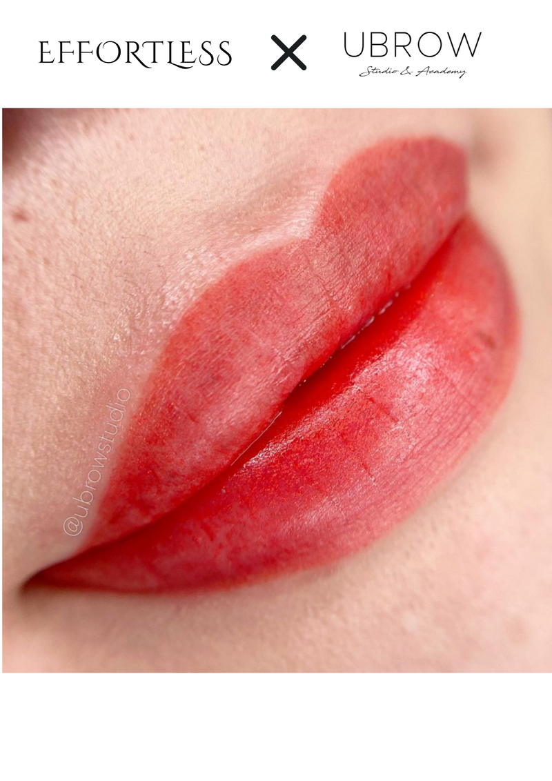 U Brow Watercolour Lip