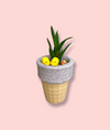 Succulent Plant in Ice Cream Cone