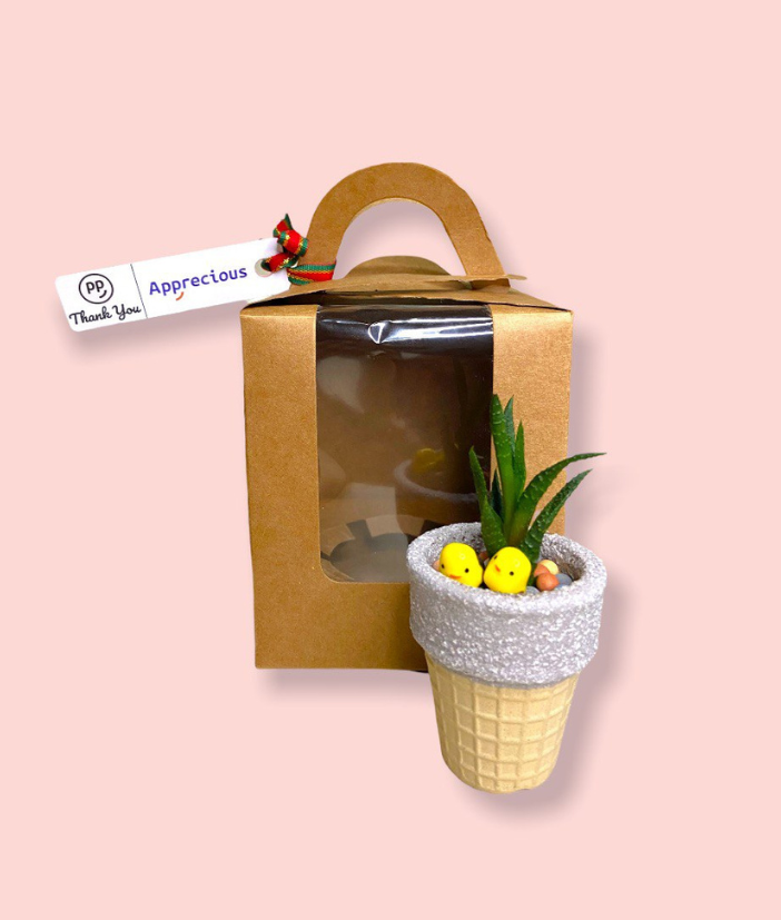 Succulent Plant in Ice Cream Cone