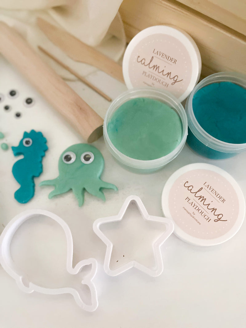 Ocean Playdough Book Kit