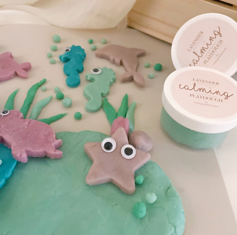 Ocean Playdough Kit